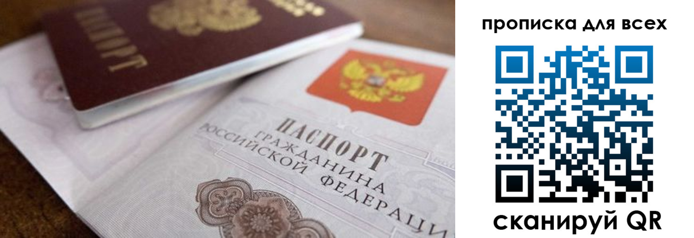 где прописаться в Волосово